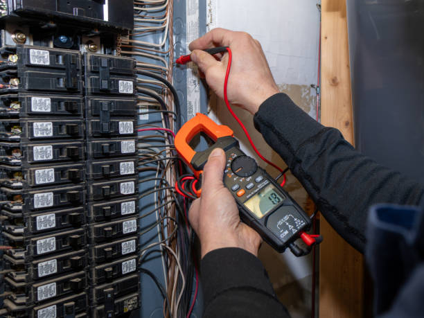 Best Electric Panel Repair  in Diamond, IL